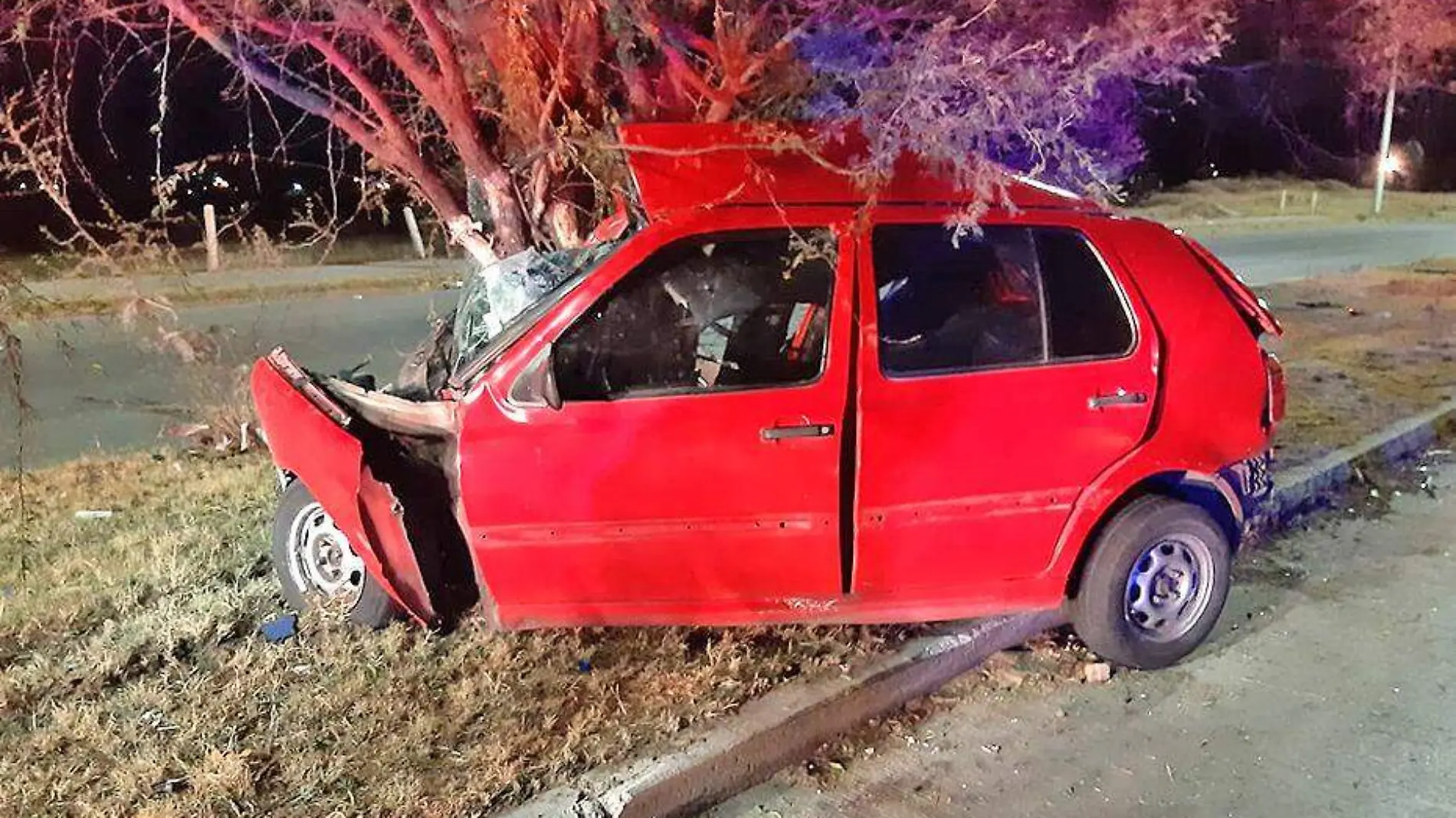 auto estrellado contra arbol